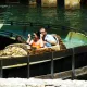 Silver River Flume