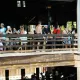 Silver River Flume