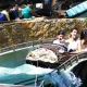 Silver River Flume