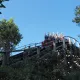 Stampida