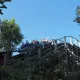 Stampida