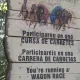 Stampida