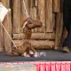 The Big Small Show