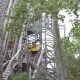 Tomahawk