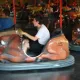 Wild Buffalos