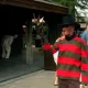 Animación de Calle de Halloween Retirada