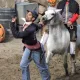 Bang Bang Halloween