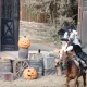 Bang Bang Halloween