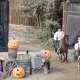 Bang Bang Halloween