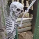Halloween en Far West