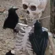 Halloween en Far West