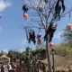 Halloween en Far West