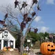 Halloween en Far West