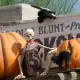 Halloween en Far West