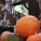 Halloween en Far West