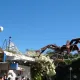 Halloween en Mediterrània