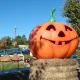 Halloween en Mediterrània