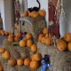 Halloween en Mediterrània