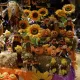 Halloween en Mediterrània
