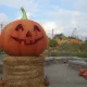 Halloween en Mediterrània