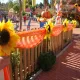 Halloween en S&eacute;samoAventura