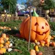 Halloween en S&eacute;samoAventura