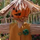 Halloween en S&eacute;samoAventura
