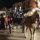 Halloween Parade