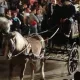 Halloween Parade