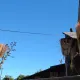 La Casa de la Bruja