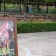 La Selva del Miedo