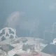 La Selva del Miedo