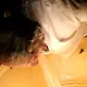 La Selva del Miedo