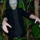 La Selva del Miedo