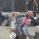 Bang Bang Halloween