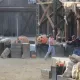 Bang Bang Halloween