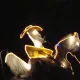 Fiestaventura