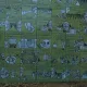 Furius Baco