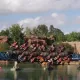 Furius Baco