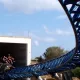 Furius Baco