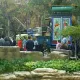 Animación de Calle de México