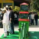 Animación de Calle de México