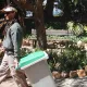 Animación de Calle de México