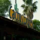 Cactus Express