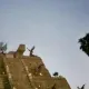 El Camino de los Mayas