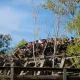 El Diablo - Tren de la Mina