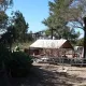 Los Potrillos