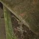 Temática de México