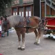 Animación de Calle de Navidad