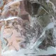 Animación de Calle de Navidad